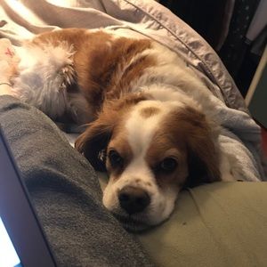 Meet your Posher, Gillian